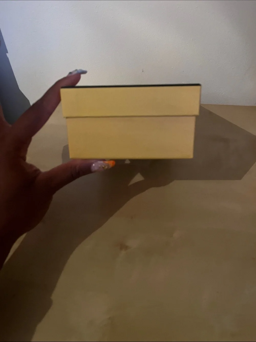 Fendi Storage Box